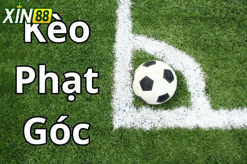 Chiến Lược Vàng Khi Cược Kèo Phạt Góc Xin88
